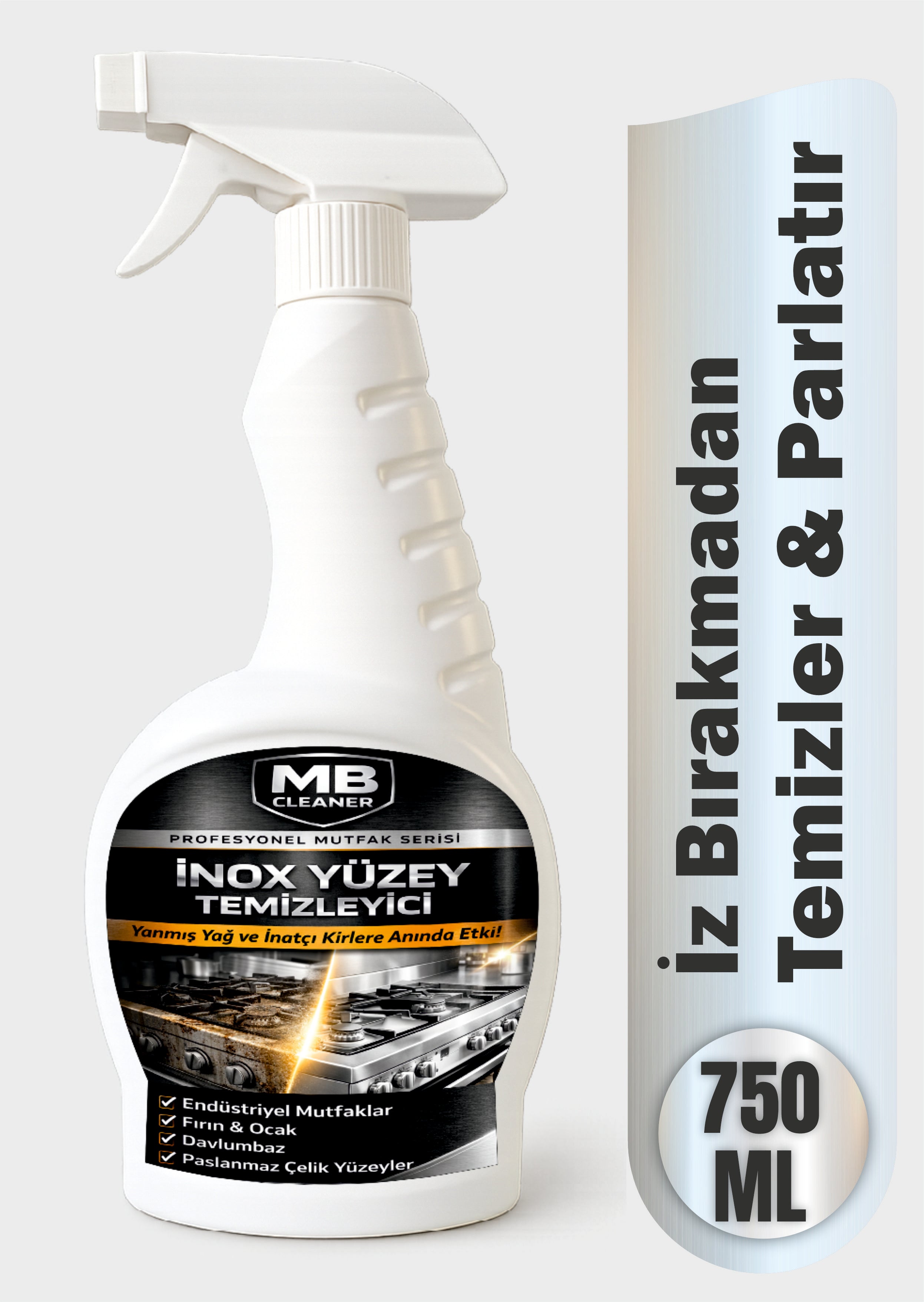 İnox Yüzey Temizleyici Sprey 750 ml