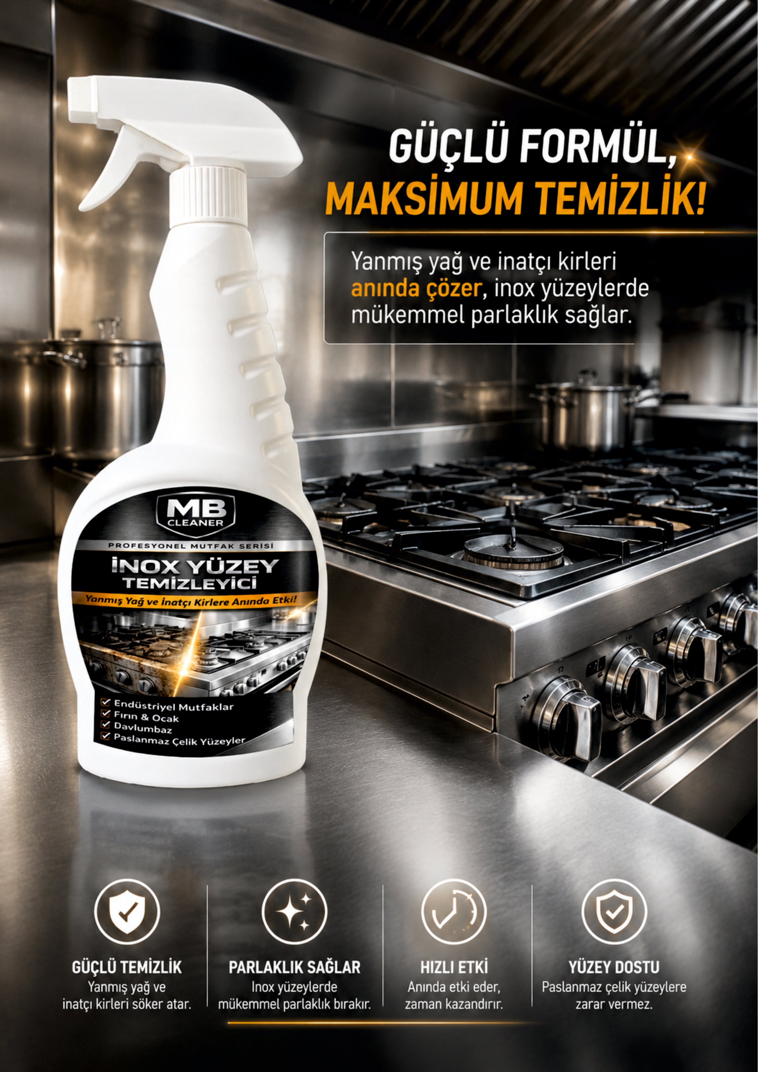 İnox Yüzey Temizleyici Sprey 750 ml